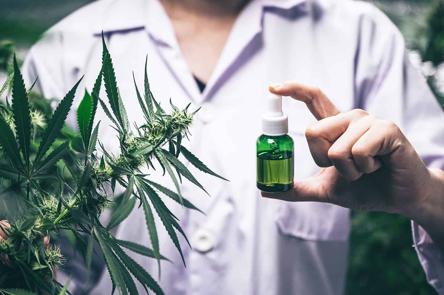 augmenter efficacité cbd