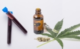 Combien de temps le CBD reste dans le sang ? Explications
